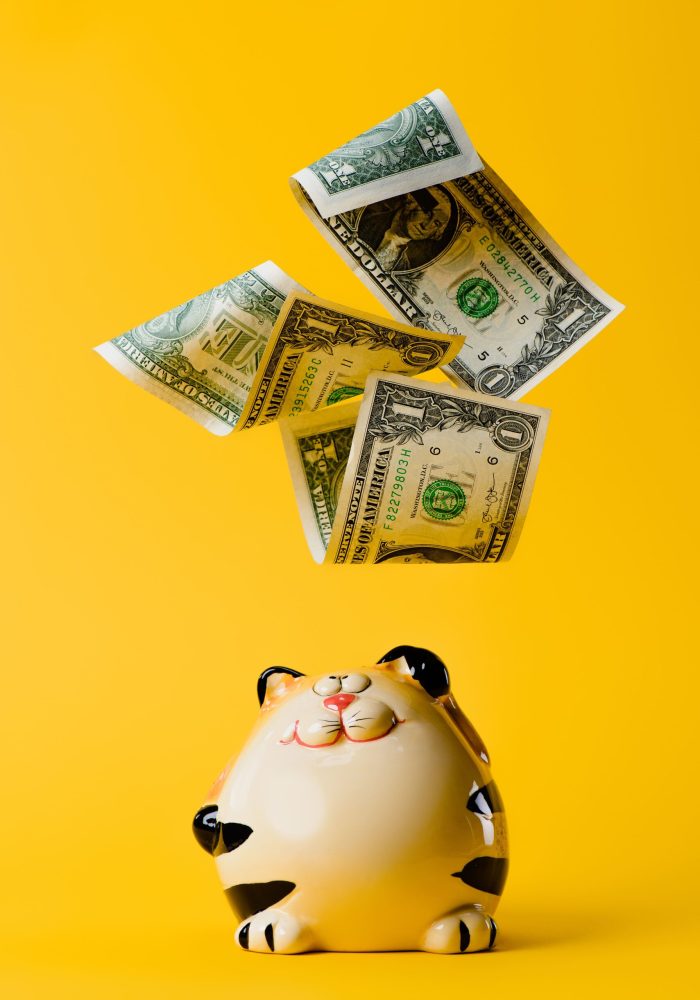 smiling-tiger-bank-with-falling-united-states-curr-2026-09-21-05-53-34-utc
